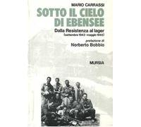 Sotto il cielo di Ebensee. Dalla Resistenza al lager (settembre 1943-maggio 1945)
