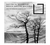 Sotto Il Silentio Della Notte Oscura