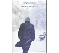 Sotto la nevicata