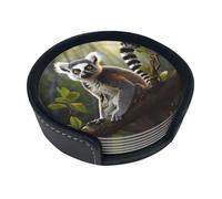 Sottobicchieri a coda di lemure per bevande, set di 6 sottobicchieri in pelle per tazza da tè per tazza da cucina, bar, decorazione per la casa, regalo di inaugurazione della casa