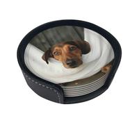 Sottobicchieri divertenti con stampa di cani che riposano, sottobicchieri rotondi in pelle per tazze in ceramica, tazze da caffè, casa, bar, ufficio, set da 6