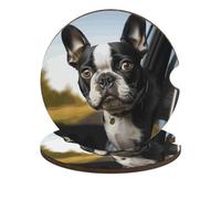 Sottobicchieri per auto con cucciolo di cane Boston Terrier, 6,6 cm, 2 pezzi, antiscivolo, universali, per portabicchieri, set di accessori per interni dell'auto, unisex