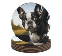Sottobicchieri per auto con cucciolo di cane Boston Terrier, 6 pezzi, antiscivolo, universali, per portabicchieri, set di accessori per interni dell'auto, unisex