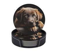 Sottobicchieri per bevande, 6 pezzi, in pelle resistente al calore, con supporto per cuccioli di cane, sottobicchiere rotondo per bevande, tappetino per tazza da caffè, protezione da tavolo, tappetino