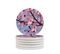 Sottobicchieri per bevande a sei pezzi con fiori di stagione primaverile per la protezione del tavolo, tovagliette per la decorazione della casa