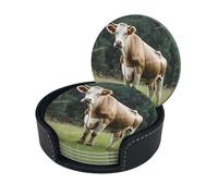 Sottobicchieri rotondi in vera pelle di mucca svizzera marrone stampata da 3,9 pollici, eleganti sottobicchieri in pelle PU con scatola portaoggetti per tavolo da pranzo