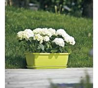 Sottobicchieri Sottopiante Rettangolare 50cm Verde Mela Sottopentola Fiori