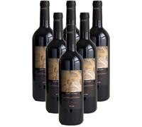 Sottocasa Montecucco DOCG Riserva Poderi Firenze (6 bottiglie 75 cl.)