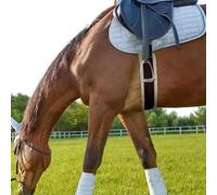 Sottopancia per cavallo traspirante con cinturino corto per dressage,
