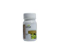 Sotya Ginkgo Biloba 100 Comp