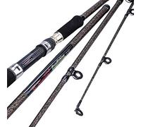 Sougayilang Canna da pesca alla carpa, Porable High Carbon 4 Pc grezzi carpa canna da pesca per viaggi acqua dolce pesca acqua salata