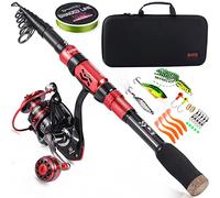 Sougayilang Canna da pesca e mulinello Combo Set con canna da pesca telescopica Accessori da pesca e sacchetto di trasporto per acqua salata acqua dolce 2.4M Canna 3000 Mulinello con borsa
