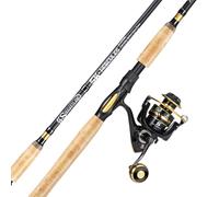 Sougayilang Canna da pesca e mulinello da pesca combinata, canna da pesca in 2 pezzi, misura 4000 mulinello, posizione destra/sinistra, adatta per pesca costiera - dorato