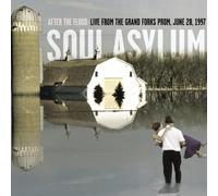Soul Asylum - After the Flood:Live from...