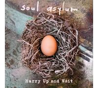 Soul Asylum Hurry Up and Wait (Cassette)