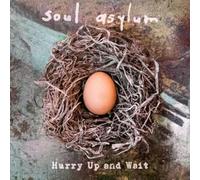 Soul asylum - Hurry up and wait - Double vinyl