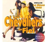 Soul Asylum - Les Chevaliers Du Fiel