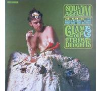 SOUL ASYLUM - Soul Asylum: Clam Dip & Other Delights [LP]