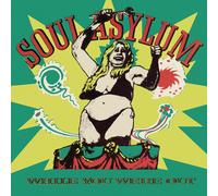 Soul Asylum While You Were Out (Vinyl LP) 12" Album