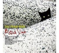 Soul Flower Union - Aqua Vite