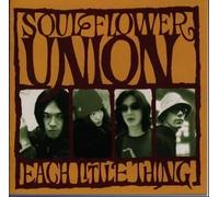 Soul Flower Union/Donal Lunny - Each Little Thing