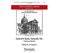 Soul of Christ, Sanctify Me