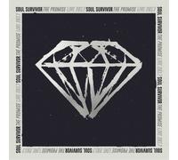 Soul Survivor The Promise (CD) Album