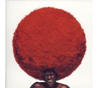 SOUL TREE -A MUSICAL TRIBUTE T