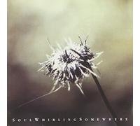 SOUL WHIRLING SOMEWHERE - EVERYONE WILL EVENTUALLY