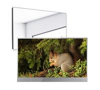 Soulaca TV specchio LED intelligente da 22 pollici per bagno, webOS 1080P impermeabile con Wi-Fi e Bluetooth, altoparlante integrato, modello 2026