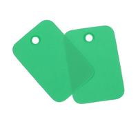 Soulnioi 50 etichette vuote in PVC da appendere, 2 x 3 cm, con fori per occhielli, etichette in plastica impermeabile per vendita al dettaglio, piante, stoccaggio e inventario, verde