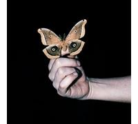 Soulwax - ALL SYSTEMS ARE LYING