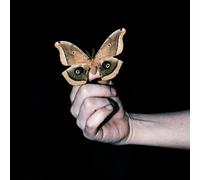 Soulwax - All Systems Are Lying (2 LP)