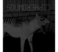 Sound Cipher All That Syncs Must Diverge (Vinyl LP)