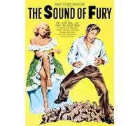 Sound Of Fury [Edizione: Stati Uniti]