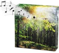 Soundbox Con Canto Degli Uccelli Con Rumori Della Foresta - 12 Cm - Altoparlante