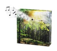 Soundbox con canto degli uccelli con rumori della foresta - 12 cm - altoparlante con canto degli uccelli e sfondo forestale - scatola decorativa con suoni naturali uccello con sensore di movimento per
