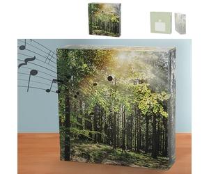 Soundbox "Forest" Sensore di Movimento | 12 x 12 x 3,5 cm Cartone Plastica | Volume del Canto degli Uccelli Regolabile (1 x Soundbox Forest)