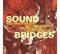 Ken Vandermark, Matthias Muche, Thomas Lehn & Martin Blume Soundbridges (CD)