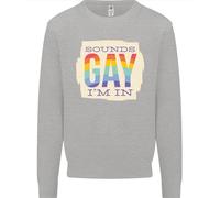 Sounds Gay Im In Divertente LGBT Gay Pride Uomo Felpa Con Cappuccio