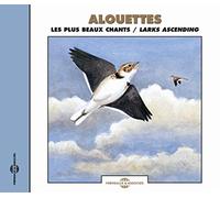 Sounds Of Nature - Larks Ascending