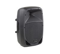 GO-SOUND 10A CASSA AMPLIFICATA CONO DA 10 per KARAOKE DJ