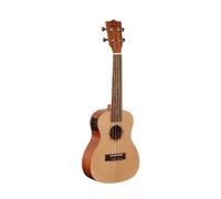 Soundsation MPUKA-120AE
