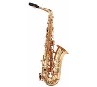 Soundsation SALSX-20 (Eb)