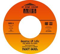 Source Of Life（DJ KOCO Re Edit） / Solar Strut [Analog]