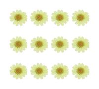 sourcing map 12 fiori secchi pressati, 2,5-3 cm, fiori di crisantemo pressati colorati per nail art, resina, gioielli, candele, biglietti, album di ritagli, decorazione della custodia del telefono