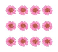 sourcing map 12 fiori secchi pressati, 2,5-3 cm, fiori di crisantemo pressati colorati per nail art, resina, gioielli, candele, biglietti, album di ritagli, decorazione di custodie per telefono