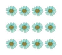sourcing map 12 fiori secchi pressati, 2,5-3 cm, fiori di crisantemo pressati colorati per nail art, resina, gioielli, candele, biglietti, album di ritagli, decorazione della cassa del telefono, blu