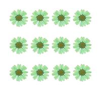 sourcing map 12 fiori secchi pressati colorati, 2,5-3 cm, crisantemo pressati colorati sfusi per nail art, resina, gioielli, candele, biglietti, album di ritagli, decorazione di custodie per telefono