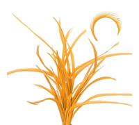 sourcing map 30 piume colorate per legare mosche, 13-17 cm, code divise e ali giù, materiali per lavori fai da te, colore: oro